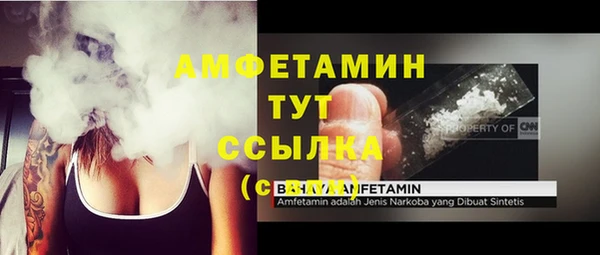 гашик Осинники