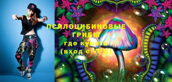 прущая мука Осташков