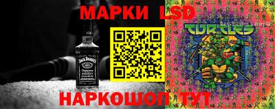 гидропоника Ирбит