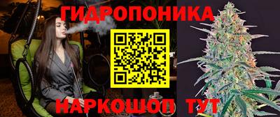 спиды Бийск