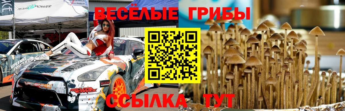 Галлюциногенные грибы MAGIC MUSHROOMS  Псилоцибиновые грибы прущие грибы  Мичуринск 