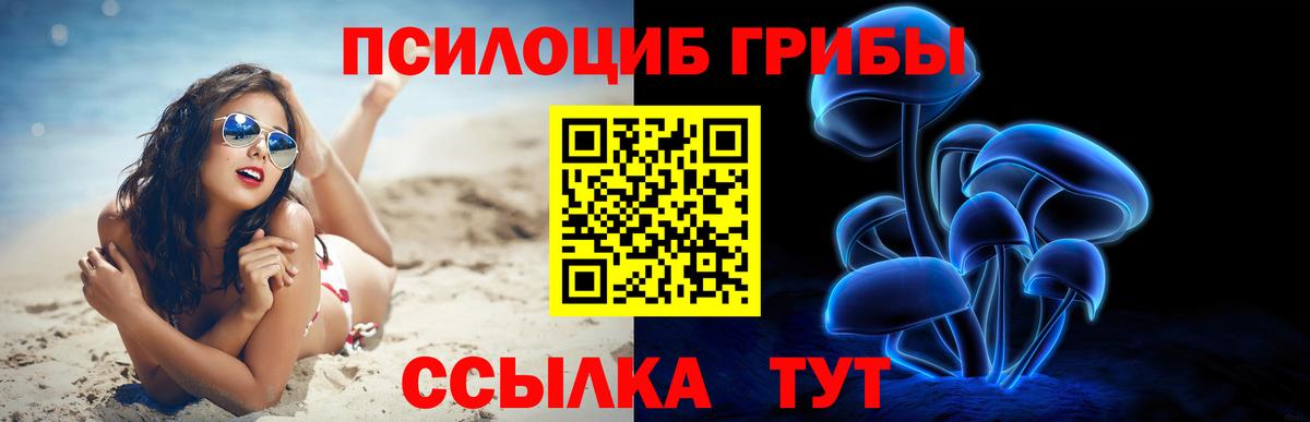 Галлюциногенные грибы мицелий Мичуринск